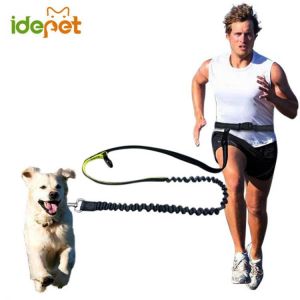 friends for good moments משחקים למשפחה Elastic Waist Dog Leash For Jogging Walking Pet Dog Product Adjustable Nylon Dog Leash With Reflective Strip hands free dog leas